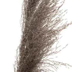 ATMOSPHERA 3 fleurs séchées