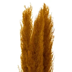 ATMOSPHERA 3 fleurs séchées 