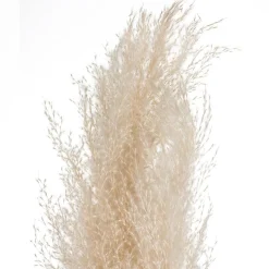 ATMOSPHERA 3 fleurs séchées 