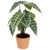 ATMOSPHERA Alocasia artificiel New