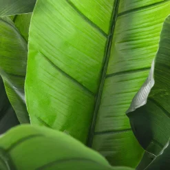 ATMOSPHERA Bananier artificiel Clearance