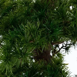 ATMOSPHERA Bonsaï artificiel Hot