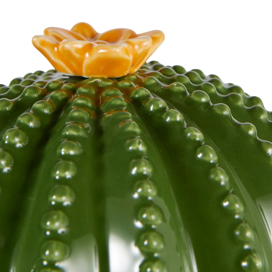 ATMOSPHERA Boîte déco "Yuca" Clearance