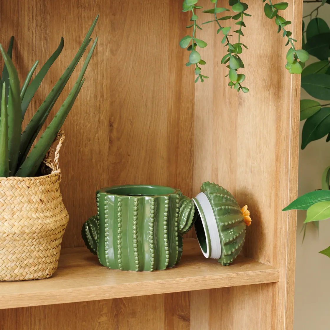 ATMOSPHERA Boîte déco "Yuca" Clearance