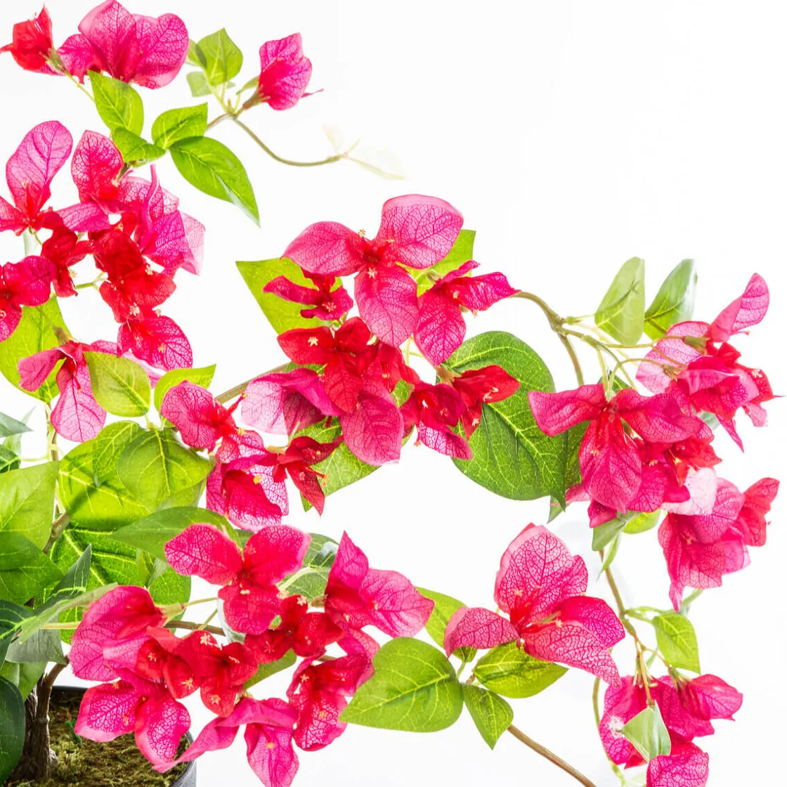 ATMOSPHERA Bougainvillier artificiel New