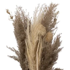 ATMOSPHERA Bouquet de pampas séchées "Ori" Online
