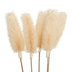 ATMOSPHERA Bouquet de plantes séchées Clearance