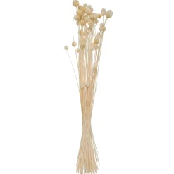 ATMOSPHERA Bouquet de plantes séchées Clearance