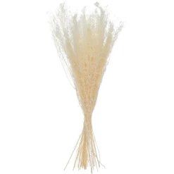 ATMOSPHERA Bouquet de plantes séchées Clearance