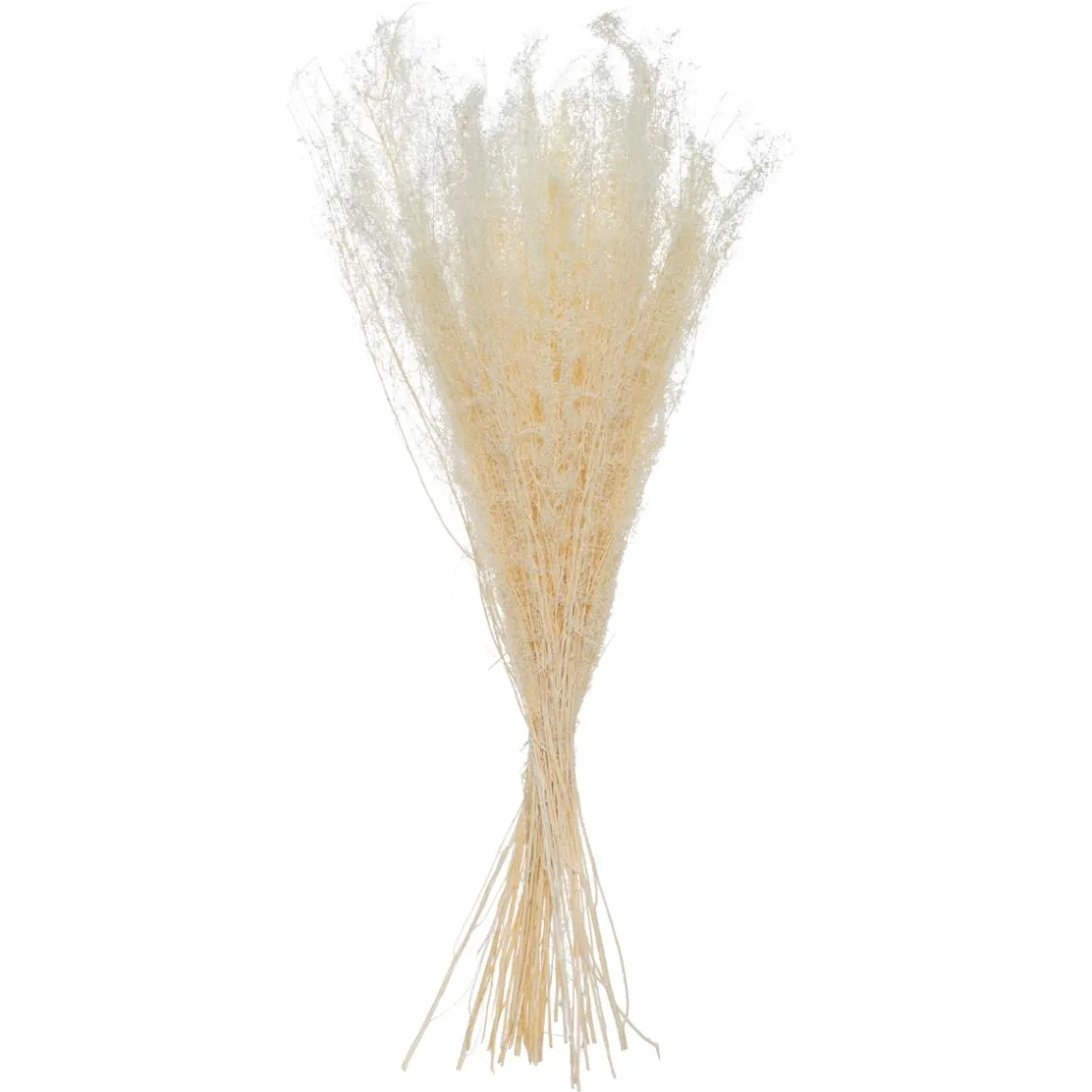 ATMOSPHERA Bouquet de plantes séchées Clearance