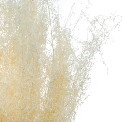 ATMOSPHERA Bouquet de plantes séchées Clearance