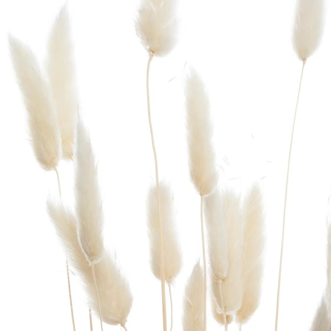 ATMOSPHERA Bouquet de plantes séchées Clearance