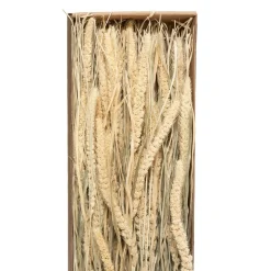 ATMOSPHERA Bouquet fleurs séchées New