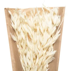 ATMOSPHERA Bouquet fleurs séchées New