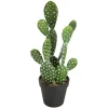 ATMOSPHERA Cactus artificiel Discount