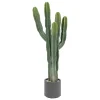 ATMOSPHERA Cactus "Exotic Panama" Online