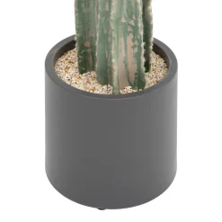 ATMOSPHERA Cactus