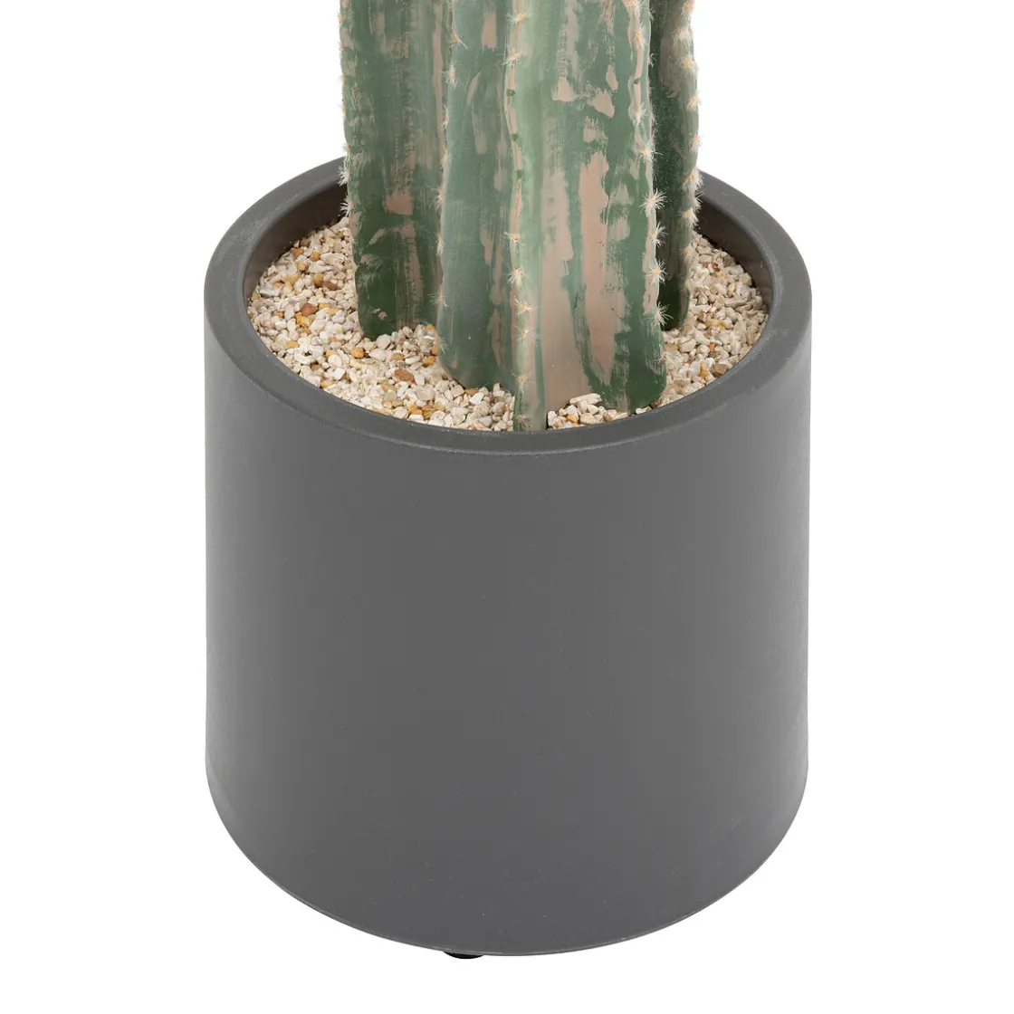 ATMOSPHERA Cactus "Exotic Panama" Online