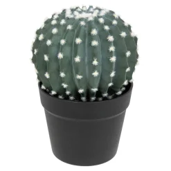 ATMOSPHERA Cactus rond "Exotic Panama" Online