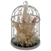 ATMOSPHERA Cage New