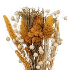 ATMOSPHERA Composition de fleurs séchées 