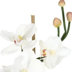 ATMOSPHERA Composition d'orchidées artificielles Sale