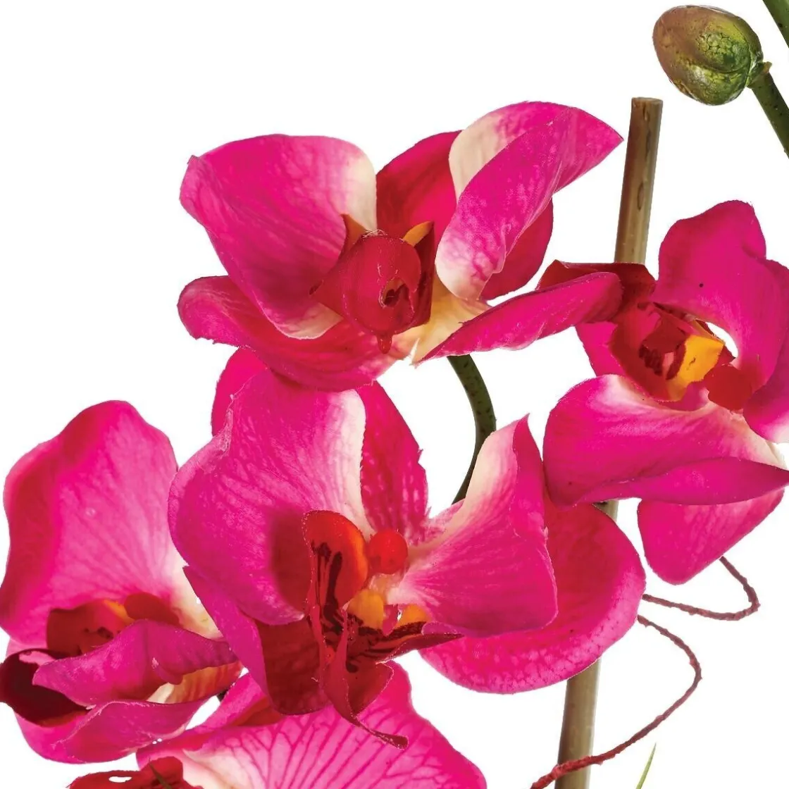 ATMOSPHERA Composition d'orchidées artificielles Sale