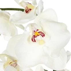 ATMOSPHERA Composition d'orchidées artificielles Outlet