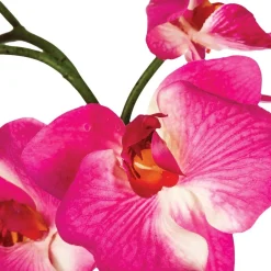 ATMOSPHERA Composition d'orchidées artificielles Outlet