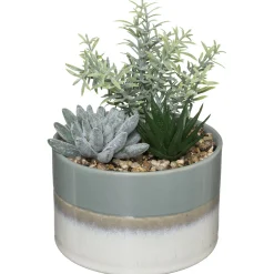 ATMOSPHERA Composition plantes Best