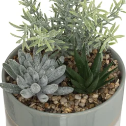 ATMOSPHERA Composition plantes Best