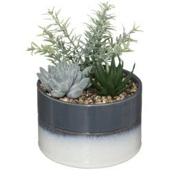 ATMOSPHERA Composition plantes Best