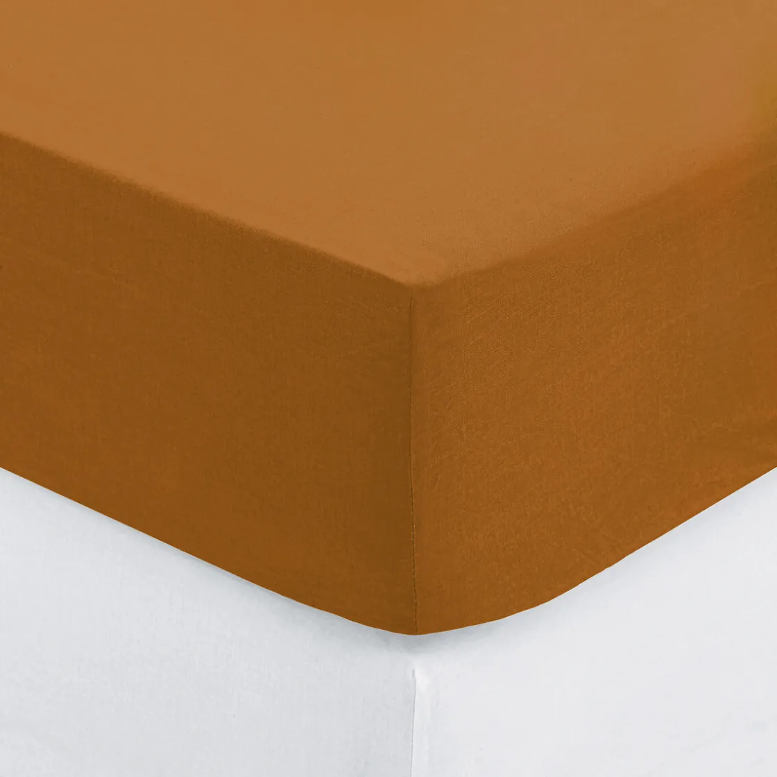 ATMOSPHERA Drap-housse, coton Best