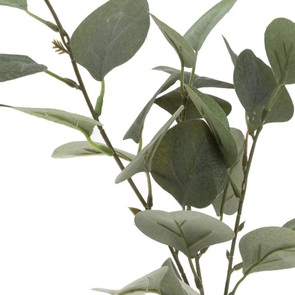 ATMOSPHERA Eucalyptus artificiel Best