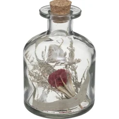 ATMOSPHERA Fleurs séchées bouteille New