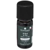 ATMOSPHERA Huile essentielle Hot