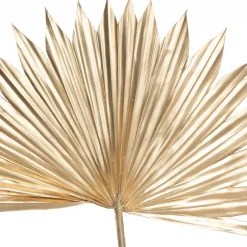 ATMOSPHERA Lot de 3 tiges "Suite" plante séchée