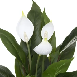 ATMOSPHERA Lys artificiel Discount