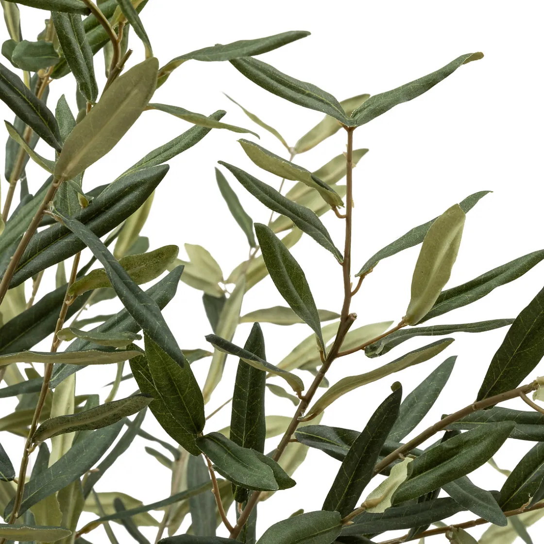 ATMOSPHERA Olivier artificiel "Martin" New