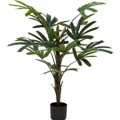 ATMOSPHERA Palmier Best