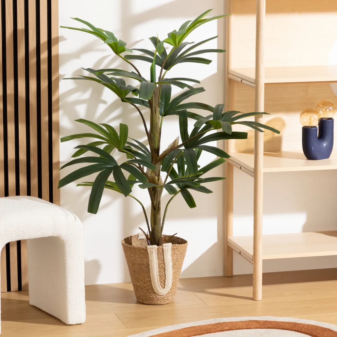 ATMOSPHERA Palmier Best