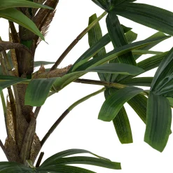 ATMOSPHERA Palmier Best