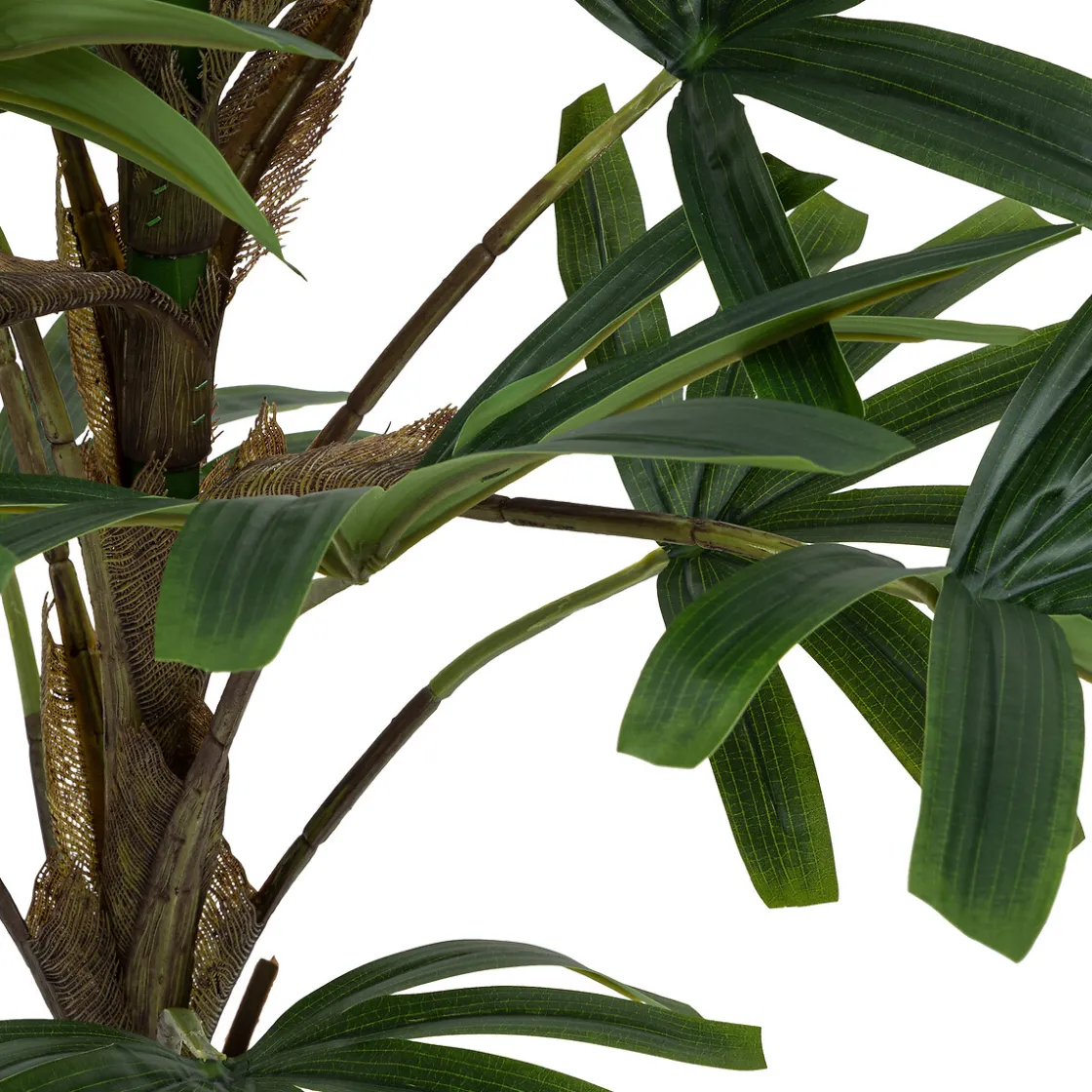 ATMOSPHERA Palmier Best