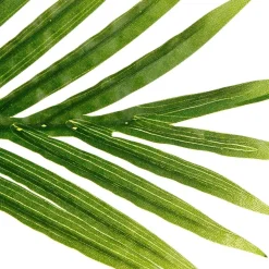 ATMOSPHERA Palmier artificiel Clearance