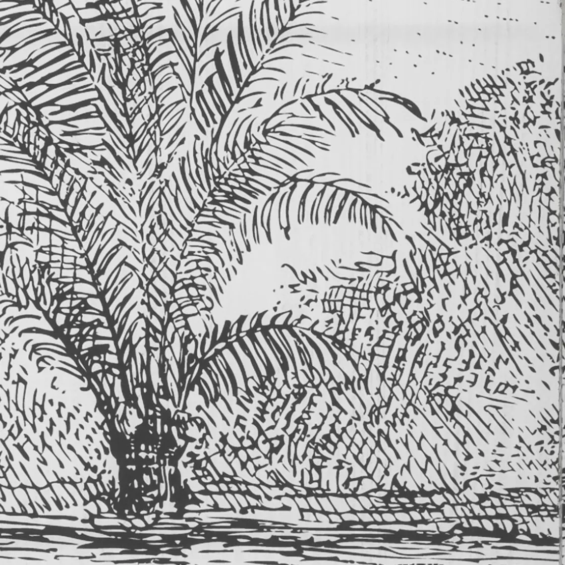 ATMOSPHERA Paravent "Cuba" Clearance