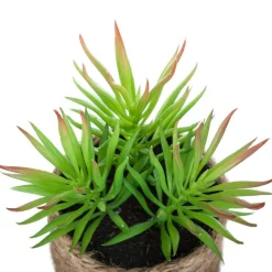 ATMOSPHERA Plante artificielle Hot