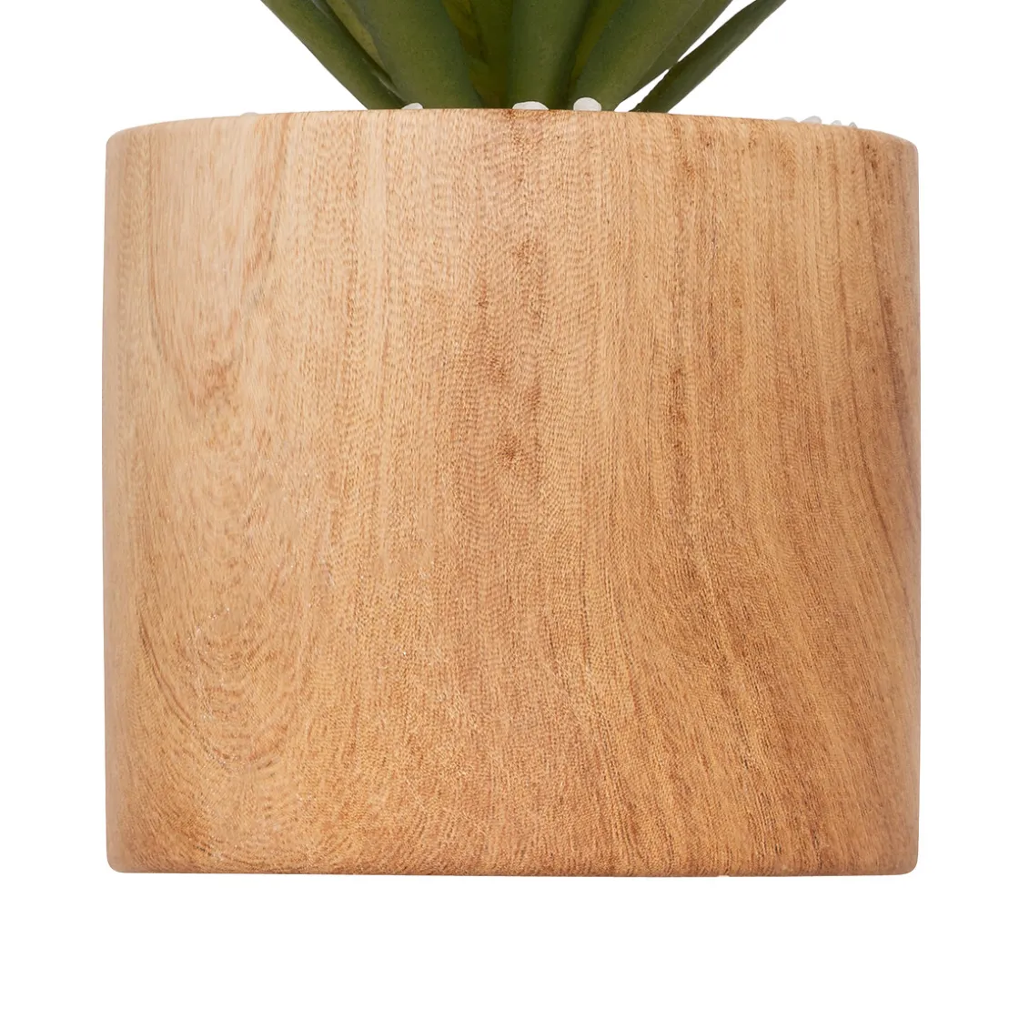 ATMOSPHERA Plante artificielle "Sao" Clearance