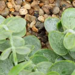 ATMOSPHERA Plante artificielle suspendue 