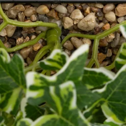 ATMOSPHERA Plante artificielle suspendue 