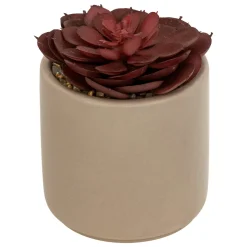 ATMOSPHERA Plante grasse artificielle "Nils" Best